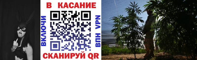 Купить наркотики Дагестанские Огни Канабис КЕТАМИН Alpha-PVP Псилоцибиновые грибы ГАШИШ МЕФ Бутират