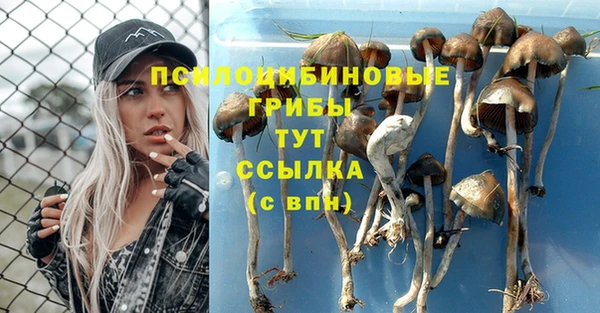 ешки Белокуриха