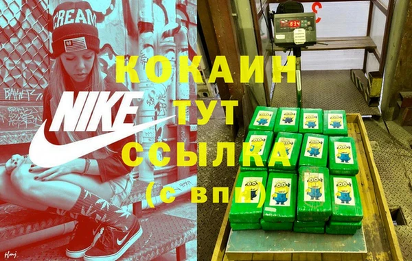 ешки Белокуриха