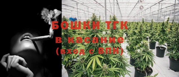 ешки Белокуриха