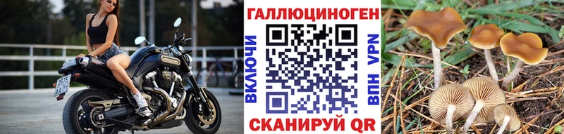 Галлюциногенные грибы мицелий  Дагестанские Огни 