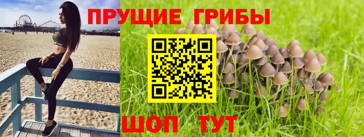Галлюциногенные грибы мицелий  Вход с VPN  Дагестанские Огни  Галлюциногенные грибы MAGIC MUSHROOMS 